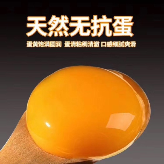 霍邱县土鸡蛋  源厂直销长期合作供应，大午，农五，黑凤，花凤，罗曼，码数齐全