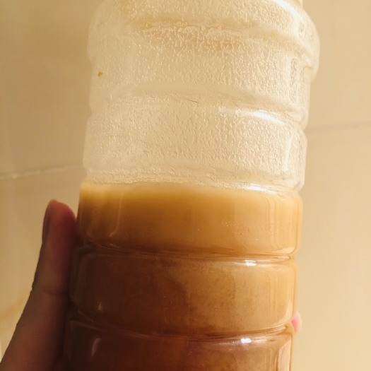 屏山县蜂巢蜜 土蜂蜜