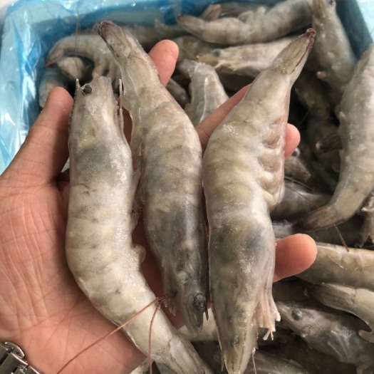 西安 大青虾，一件10斤