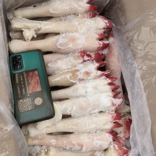 阳信县 羊蹄高级品质