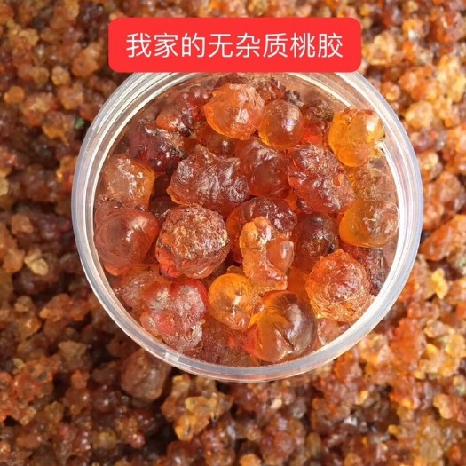 广州 原产地精品黄红大中小珍珠颗粒桃胶批发 量大从优