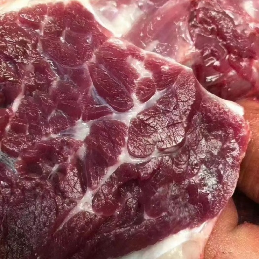泗县现杀鲜驴肉   不打水纯干肉