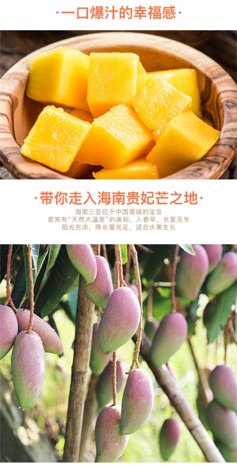 【商超品质】海南贵妃芒果 批发代发10斤装全国包邮坏果包赔