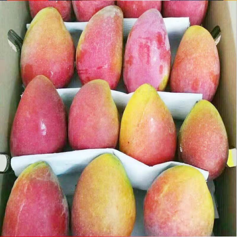 【商超品质】海南贵妃芒果 批发代发10斤装全国包邮坏果包赔