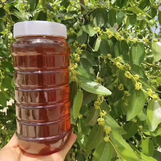 万荣县枣花蜜  蜂蜜