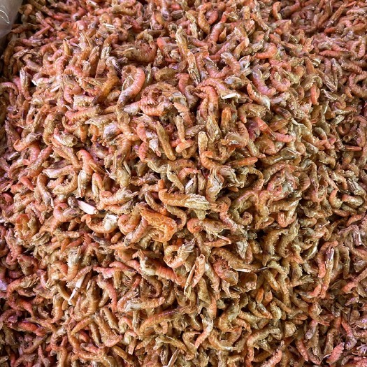 九江红虾干 无爪红虾，干度好，闻起来香