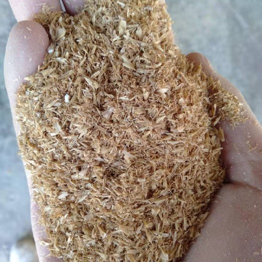 大连麦壳  大麦麦芽根