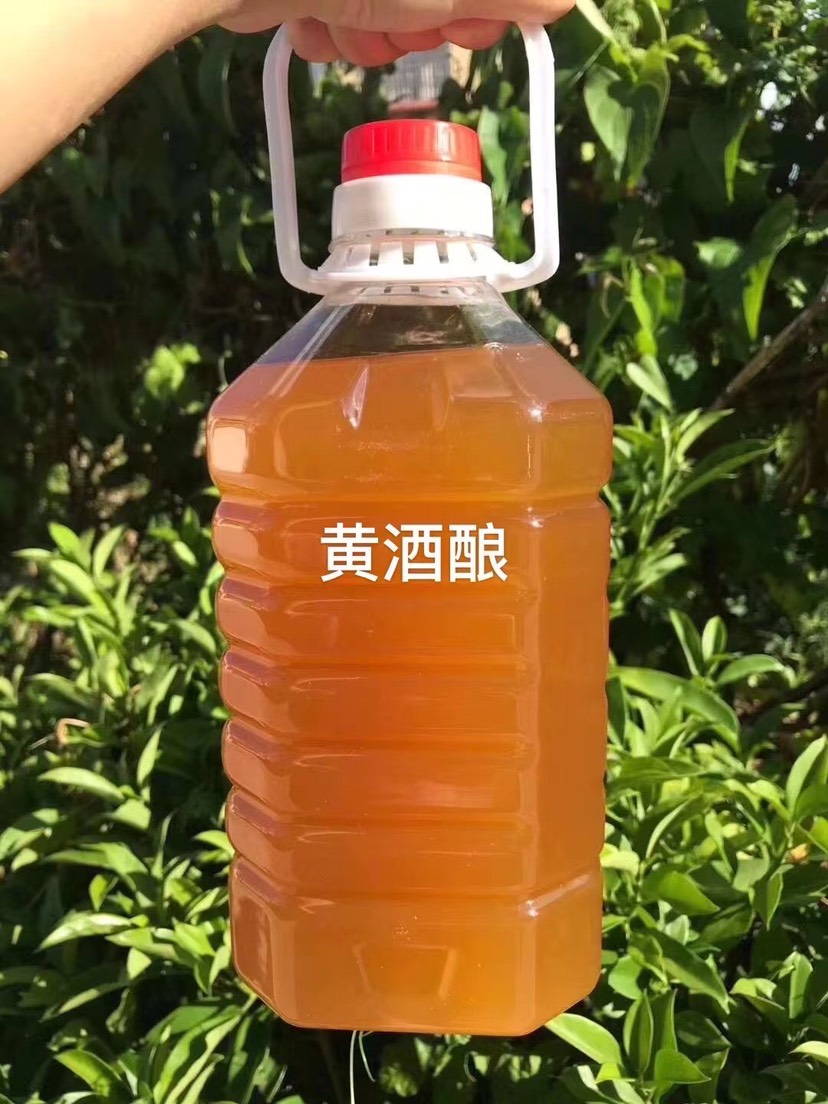 甜酒酿  黄酒娘，客家酒娘，河源酒娘，货源冲足，支持一件代发