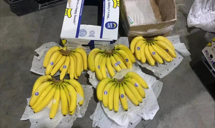 大连 菲律宾香蕉大量现货需要的抓紧时间全国调车发货