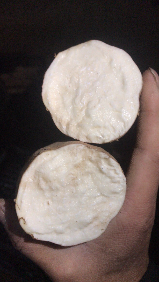 白心红薯  冰糖心哈蜜红薯