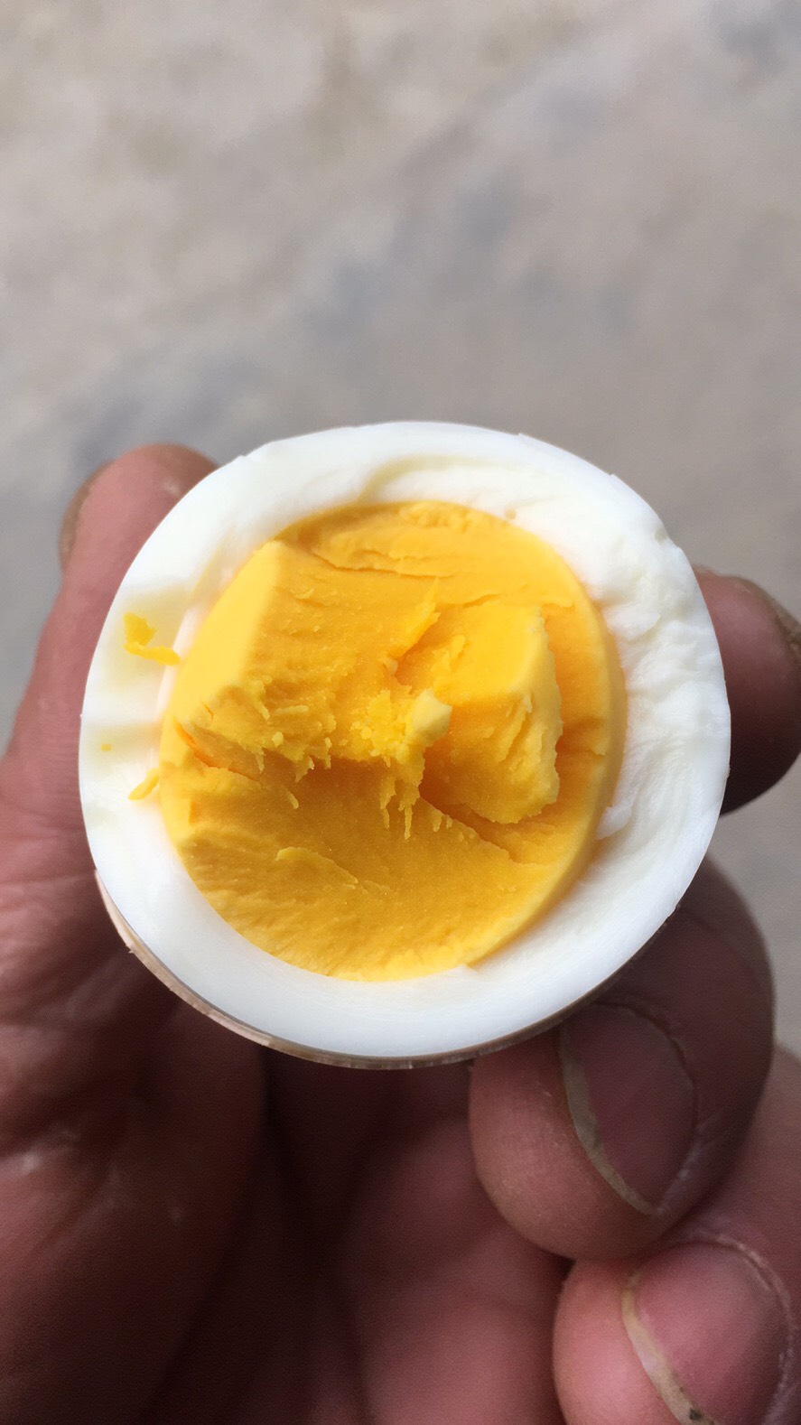 纯生态散养五黑土鸡蛋