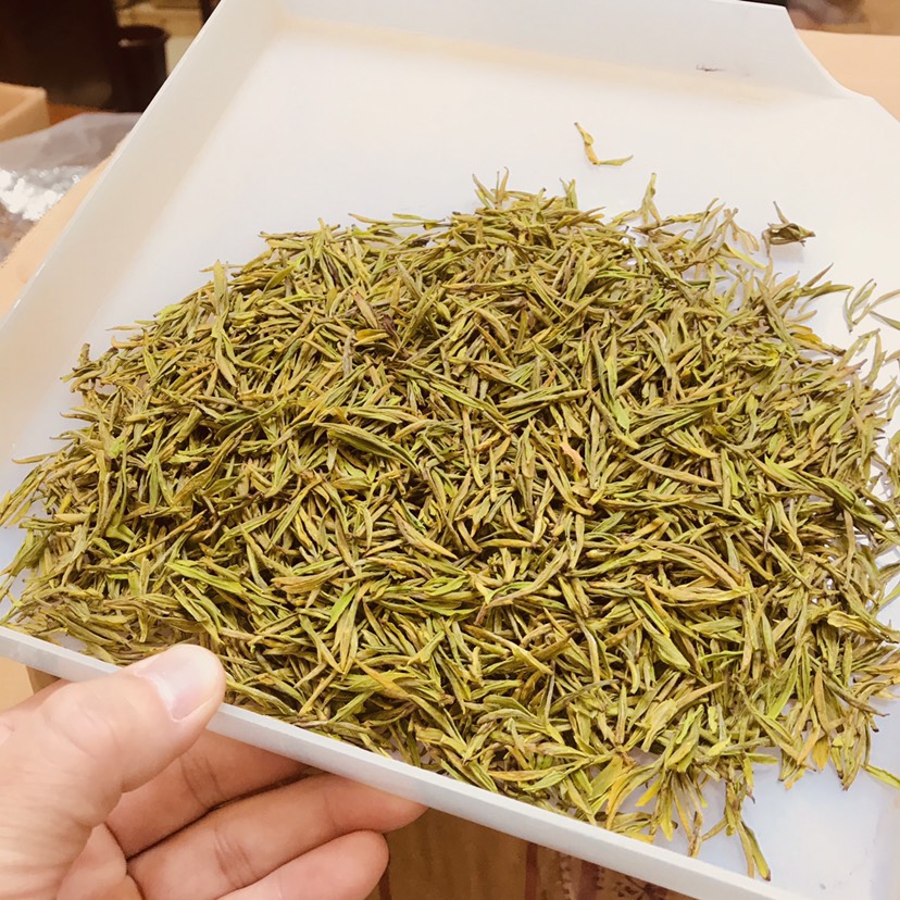 安吉白茶  2021年头采黄金条茶