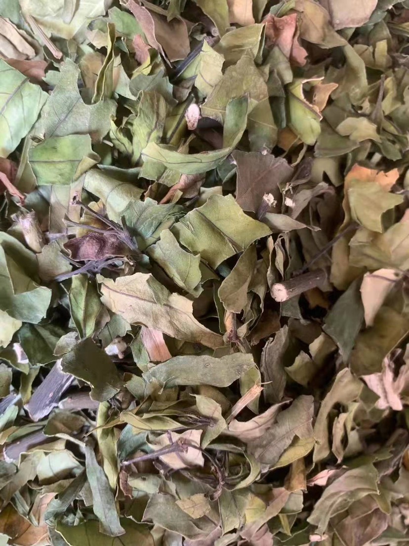 接骨草小驳骨、两斤起发货、支持线上交易、量大从优