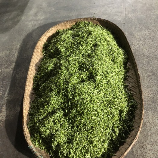 太湖县绿茶  明前新茶大量上市