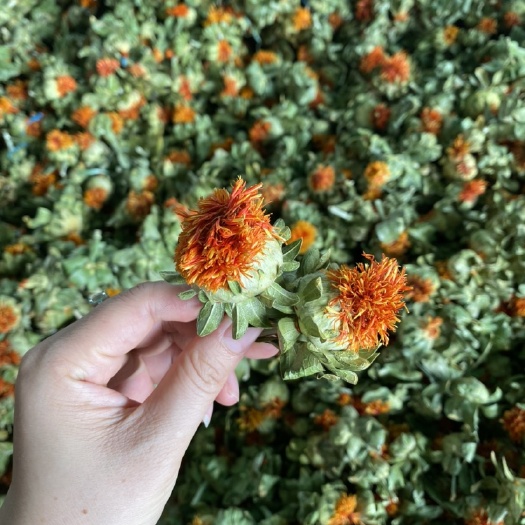 玉林红花干货新货上市源头批发红花朵橙菠萝