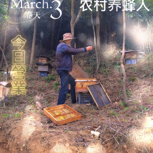 霞浦县 农家自产自销土蜂蜜