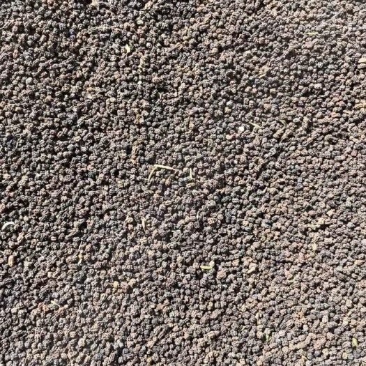 思茅虫茶 虫屎茶（龙珠）