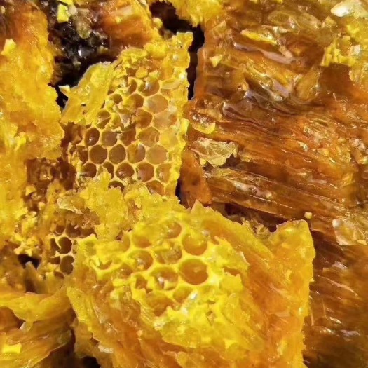 桂林土蜂蜜  云南原始森林野蜂蜜