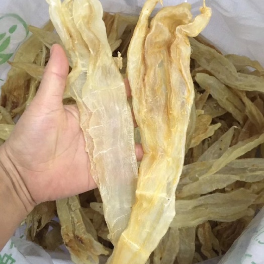 饶平县 11-12头北海阴阳肚鱼胶花胶干货北海胶厚肉