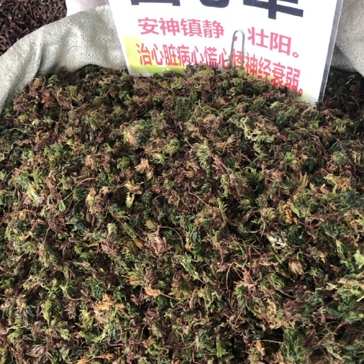 玉林回心草（药材） 回心草新货