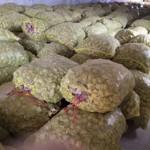 调兵山市玉米秸秆 草球牛饲料