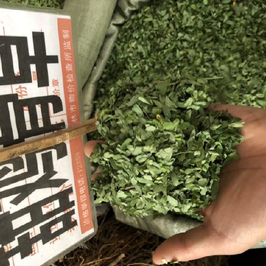 玉林 鸡骨草叶甜鸡骨草 相思叶