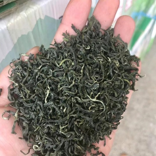 福安市云雾茶  2021年明前高山绿茶3.30