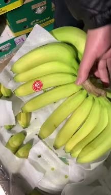 大连 菲律宾香蕉全国调车发货要的抓紧时间联系