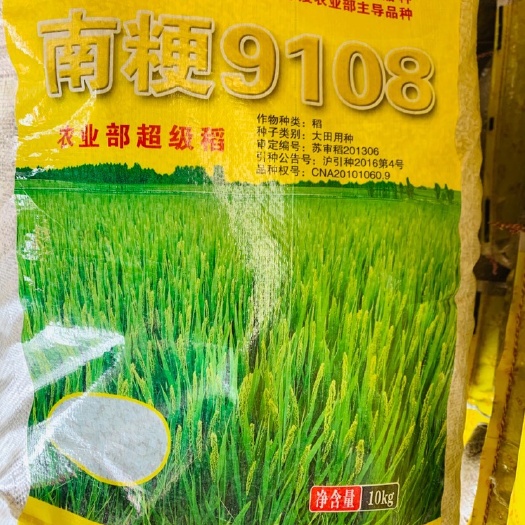 东海县 南粳9108水稻种子，高产抗倒伏，抗病，是香米好吃好卖粮