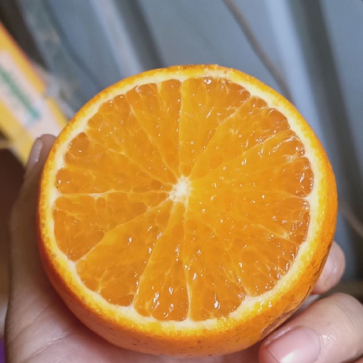 灵山县广西灵山沃柑