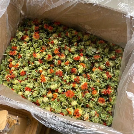 成都藏红花花丝 红花朵跑江湖热卖产品