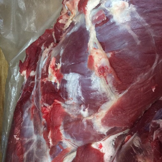 黄牛肉当天现宰，一年半到两年的优质大公牛