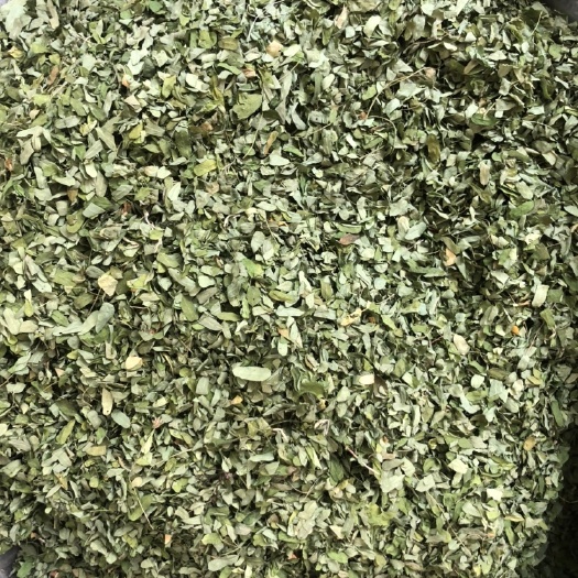 玉林 甜鸡骨草叶   土甘草叶，山甘草叶