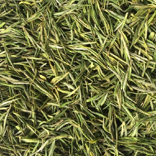 安吉县 安吉白茶  节前茶