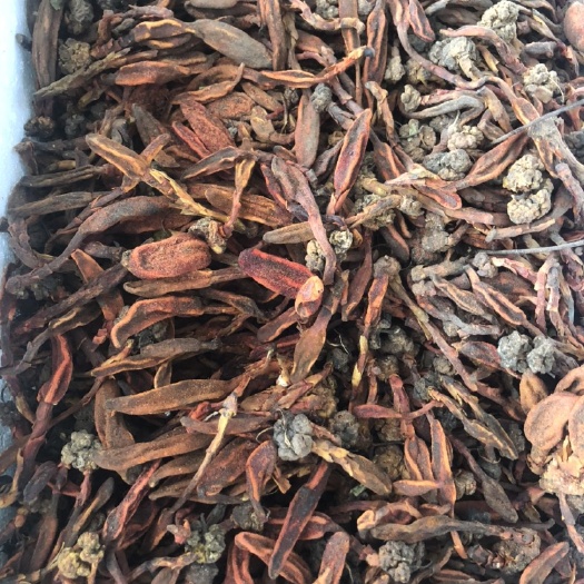 回春草  不老草  顶天柱
