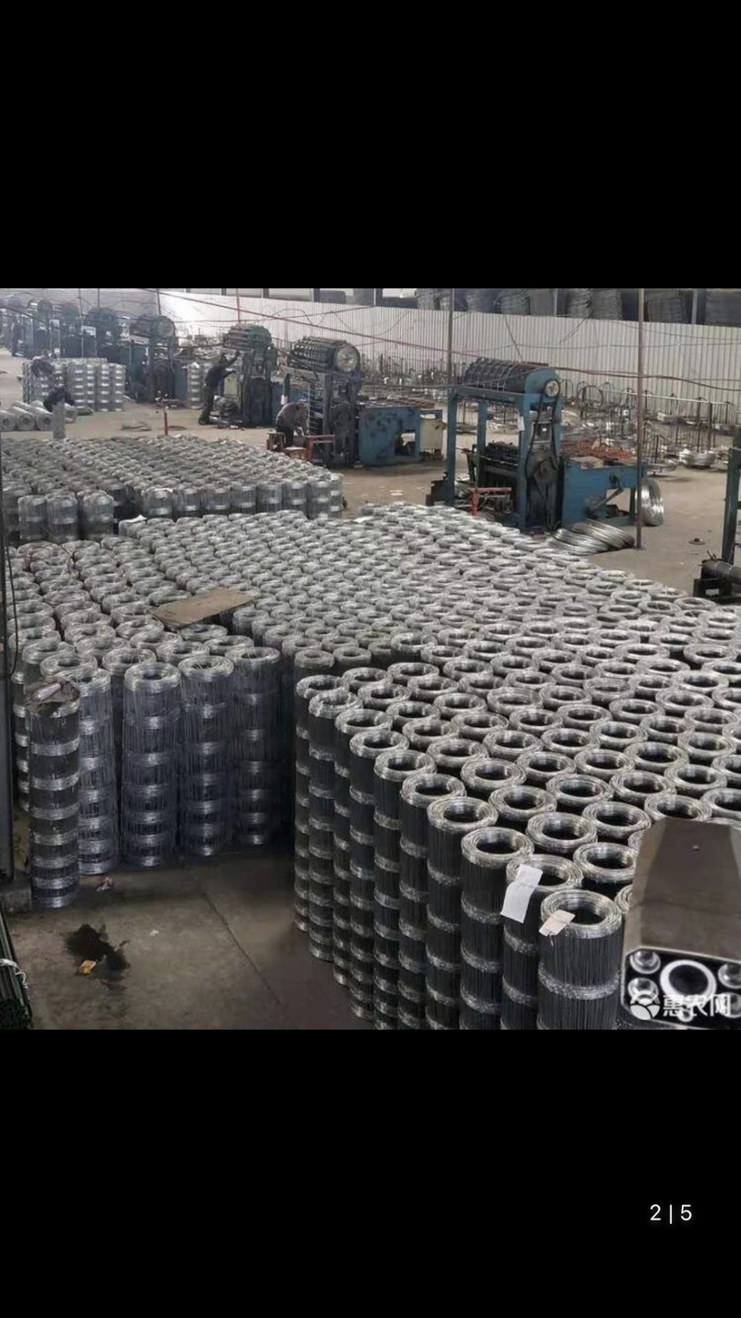 荷兰网  牛拦网环扣钢丝网热镀锌牛羊猪养殖防护网养鸡果园围栏全钢户外网