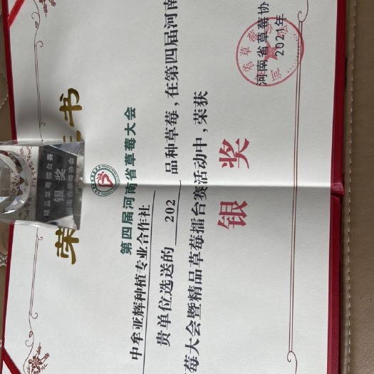 中牟县202 地栽苗 否