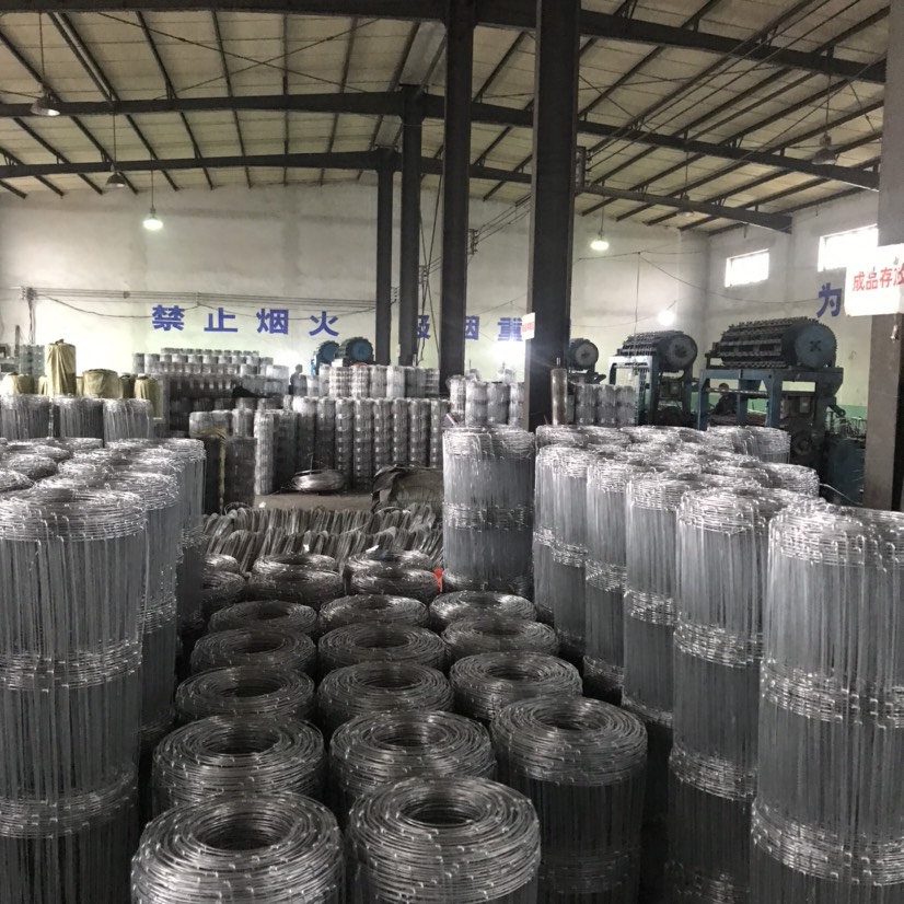 荷兰网  牛拦网环扣钢丝网热镀锌牛羊猪养殖防护网养鸡果园围栏全钢户外网