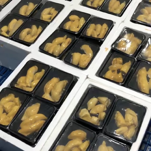 佛山猫山王榴莲  马来西亚劳务猫山王D197果肉400g（自产自销）