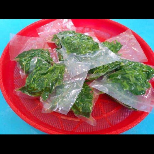 英德市 无公害蔬菜，桑叶菜，适合酒店，饭店，大排档