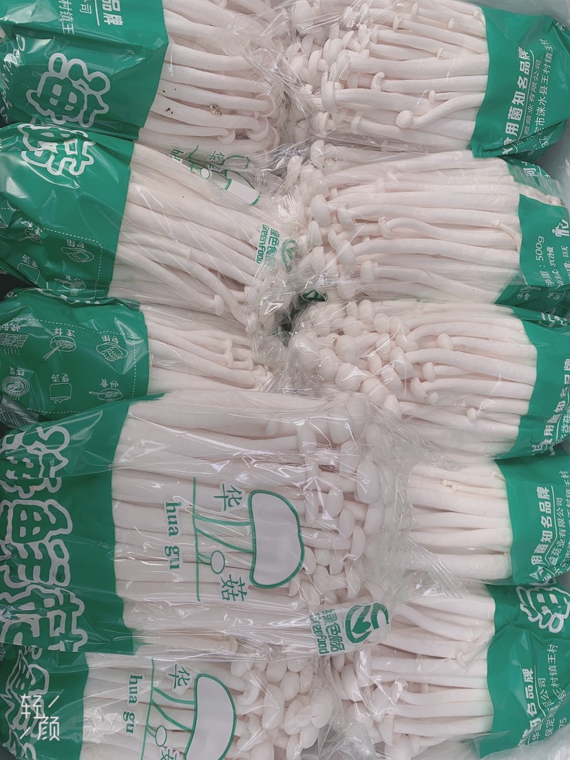 高碑店市新鲜海鲜菇产地直发