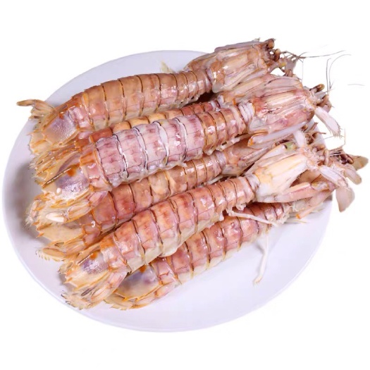 北海（第一名北海皮皮蝦）活煮熟凍皮皮蝦 爬爬蝦 產(chǎn)地一手批發(fā)