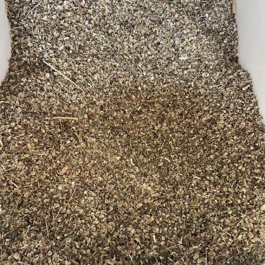 亳州白花前胡种子  前胡种子。前胡种籽