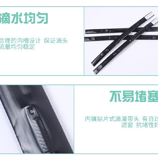 鄄城县 常年出售滴灌带 规格多样可加工定制 节水灌溉省时省力