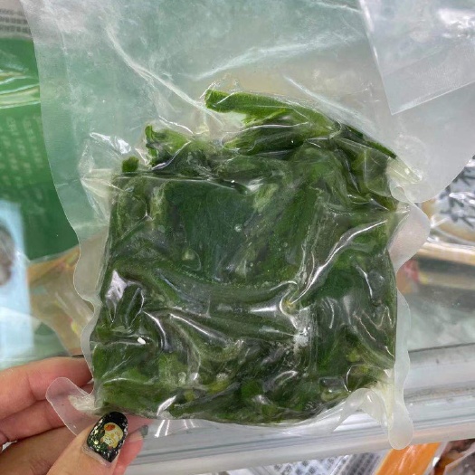 南瓜藤(苗)
