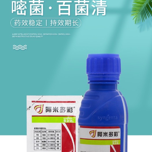 德州先正达阿米多彩嘧菌·百菌清番茄早疫病黄瓜霜霉病西瓜蔓枯病