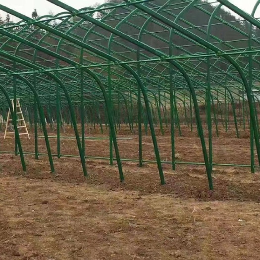 天津大棚管  30*70*2.0椭圆包塑管建造冷棚.暖棚.菌棚.养殖棚