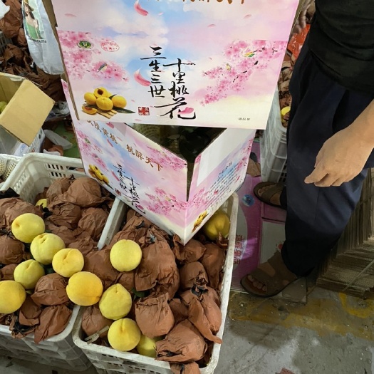 炎陵县锦绣黄桃  炎陵黄桃/黄桃/锦绣黄松/高山黄桃