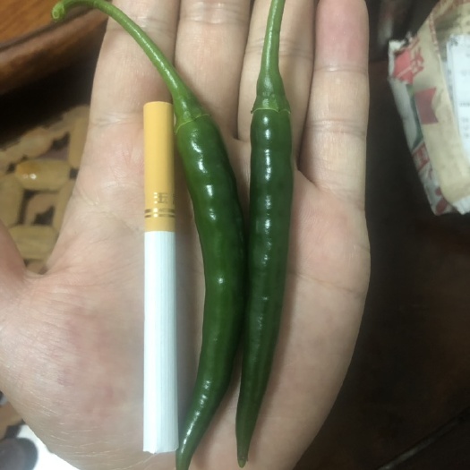龙州县 小米椒，青米，红米，支持电商一件代发