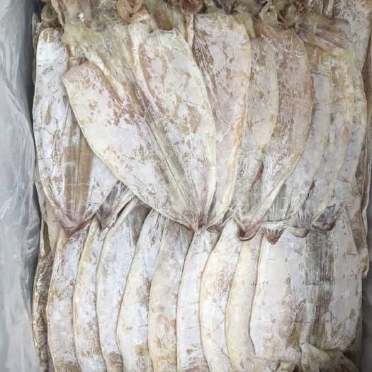 饶平县 烧烤鱿鱼干手撕鱿鱼新货白净质量款10-11头